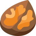 Walnut autumn natural delicious nutrition vector