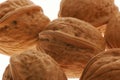 Walnut background