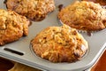 Walnut and Banana Muffins Royalty Free Stock Photo