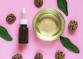 Walnut, bowl with walnut oil, green leaves and a dark bottle on a pink background. Natural Organic Product Beauty Concept. Skin ca Royalty Free Stock Photo