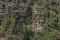 Native American cliff dwellings in Walnut Canyon