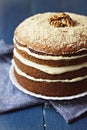 Walnut Carrot Cake Royalty Free Stock Photo