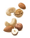 Walnut, cashew, almond, hazelnut nut set isolated on white background Royalty Free Stock Photo