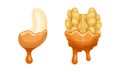 Walnut and Cashew with Dripping Chocolate or Caramel Melting Liquid Vector Set