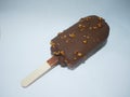 Walnut Chocolate Ice Cream Bar.