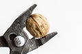 Walnut in pliers Royalty Free Stock Photo