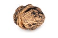 Walnut Close Up Royalty Free Stock Photo