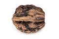 Walnut Close Up Royalty Free Stock Photo