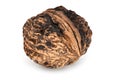 Walnut Close Up Royalty Free Stock Photo