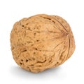 Walnut close-up isolated on a white Royalty Free Stock Photo