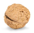 Walnut close-up isolated on a white Royalty Free Stock Photo