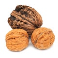 Walnut Close Up Royalty Free Stock Photo