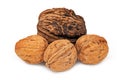 Walnut Close Up Royalty Free Stock Photo