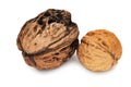 Walnut Close Up Royalty Free Stock Photo