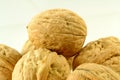 Walnut Closeup