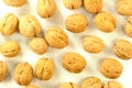 Walnut Closeup Royalty Free Stock Photo