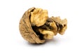 Walnut cracked Royalty Free Stock Photo