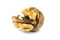 Walnut cracked Royalty Free Stock Photo