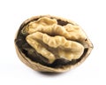 Walnut cracked in half Royalty Free Stock Photo