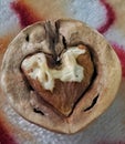 Walnut cracked in heart shape Royalty Free Stock Photo