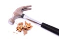 Walnut crushed by a hammer Royalty Free Stock Photo