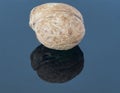 Walnut on a dark background. With reflection in the foreground Royalty Free Stock Photo