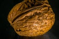 Walnut Royalty Free Stock Photo
