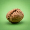 Of the walnut features intricate ridges and grooves typical of its Royalty Free Stock Photo