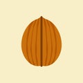 walnut flat design. can be used in restaurant menu, cooking books and organic farm label. Healthy food. Tasty vegan . Organic