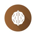 Walnut flat design long shadow glyph icon