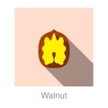 Walnut flat icon, vector illustration