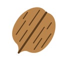 Walnut flat simple illustration