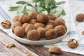 Walnut fruit in a hard brown shell Royalty Free Stock Photo