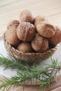 Walnut fruit in a hard brown shell Royalty Free Stock Photo
