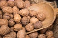 Walnut Typical products of Emilia Romagna Royalty Free Stock Photo