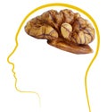 Walnut good brain health Royalty Free Stock Photo