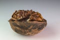 Walnut half macro Royalty Free Stock Photo