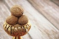 walnut in a hard brown shell Royalty Free Stock Photo