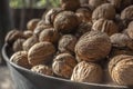 Walnut harvest in bucket Royalty Free Stock Photo