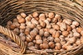 WALNUTS IN BASKET