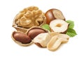 Walnut, hazelnut and peanut isolated on white background. Nut mix