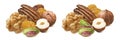 Walnut, hazelnut, pecan, pistachio and raisin set isolated on white background