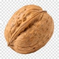 Walnut Ã¢â¬\' Healthy Dry Fruit Isolated Royalty Free Stock Photo