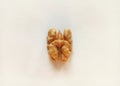 Walnut a Healthy and Nutritious Dry Fruit Royalty Free Stock Photo