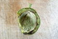 walnut husk on a scratched wood background Royalty Free Stock Photo