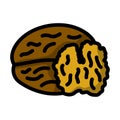 Walnut Icon