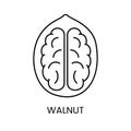 Walnut Icon in Vector Format allows you to experience the beauty and versatility of walnut with its elegant line