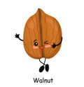 Walnut. illustration. Walnut character isolated on white background