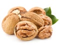 Walnut isolated Royalty Free Stock Photo