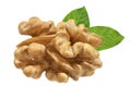 Walnut isolated closeup on white background with clipping path. Nut macro Royalty Free Stock Photo